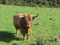 Albums/20060200-New Zealand 2006/20060313-Catlins/42